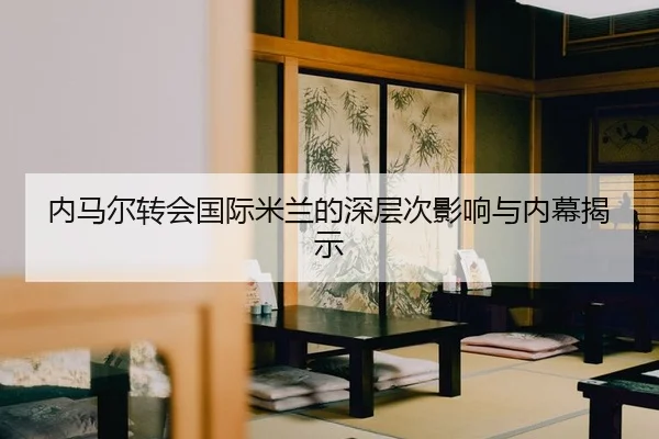 nei-ma-er-zhuan-hui-guo-ji-mi-lan-de-shen-ceng-ci-ying-xiang-yu-nei-mu-jie-shi-2-206.jpg