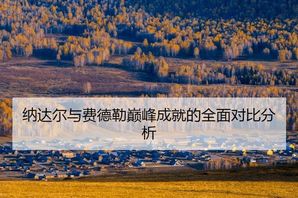 na-da-er-yu-fei-de-lei-dian-feng-cheng-jiu-de-quan-mian-dui-bi-fen-xi-2-383.jpg