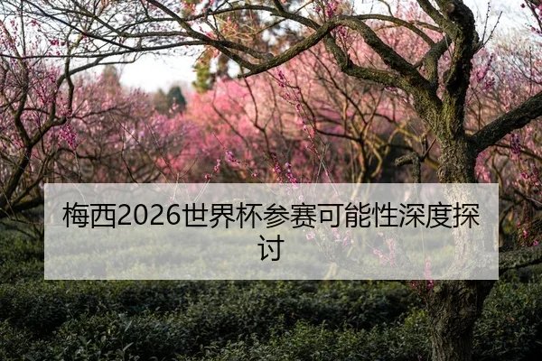 梅西2026世界杯参赛可能性深度探讨